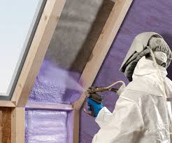 Professional Insulation Removal & Installation in Spring City, TN